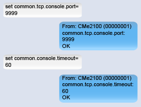 Configure_the_console_application_settings.png