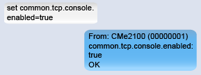 Enable_the_console_application.png